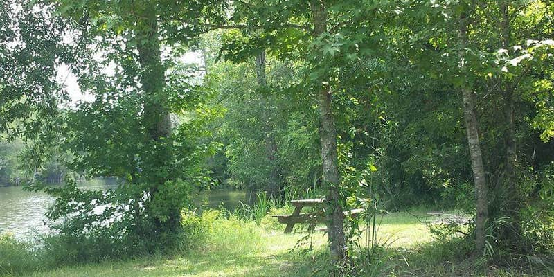 Camper submitted image from Becks Camp