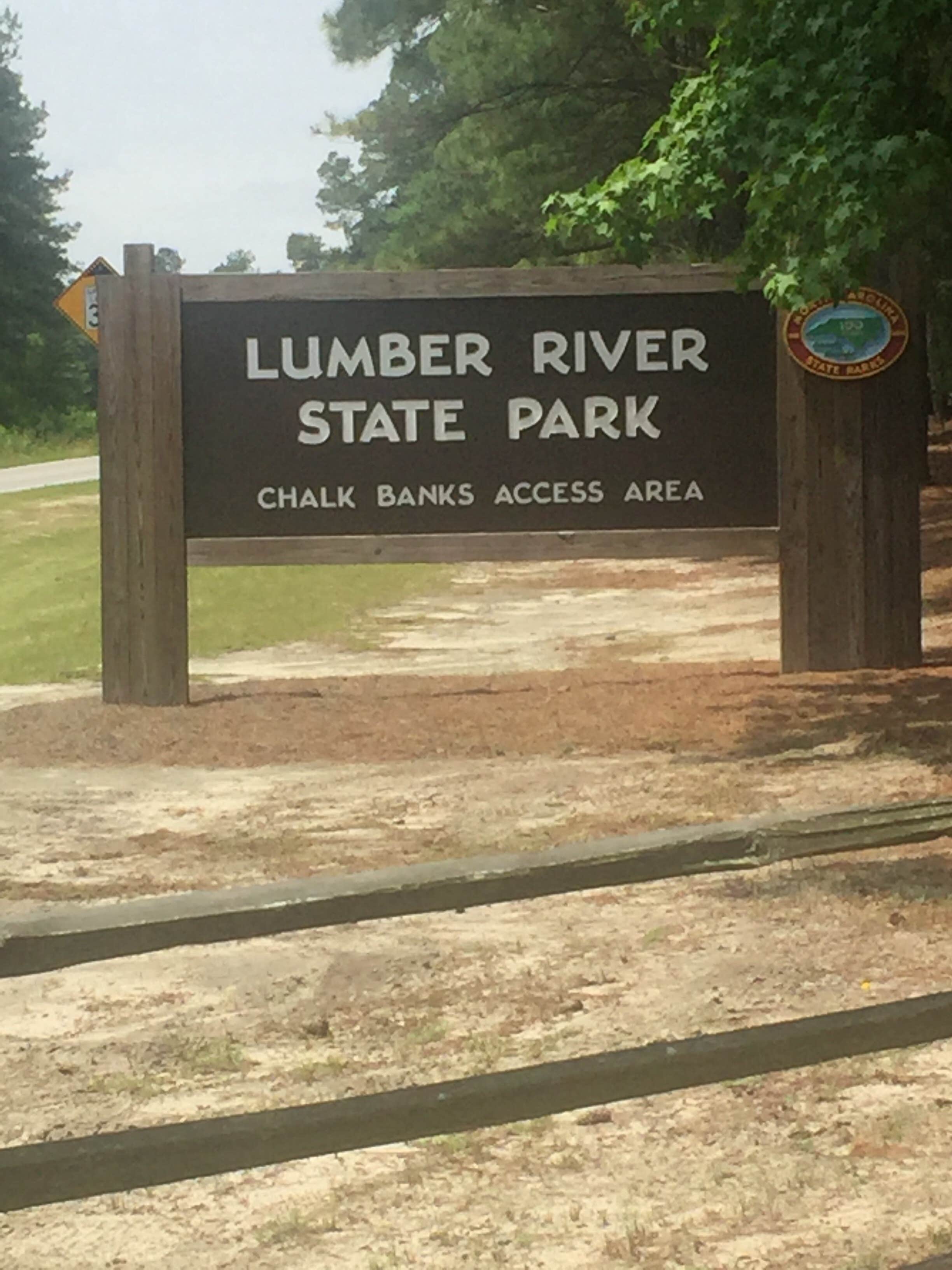 Camper submitted image from Chalk Banks — Lumber River State Park - 5