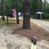 Review photo of Chalk Banks — Lumber River State Park by Jay B., June 18, 2020