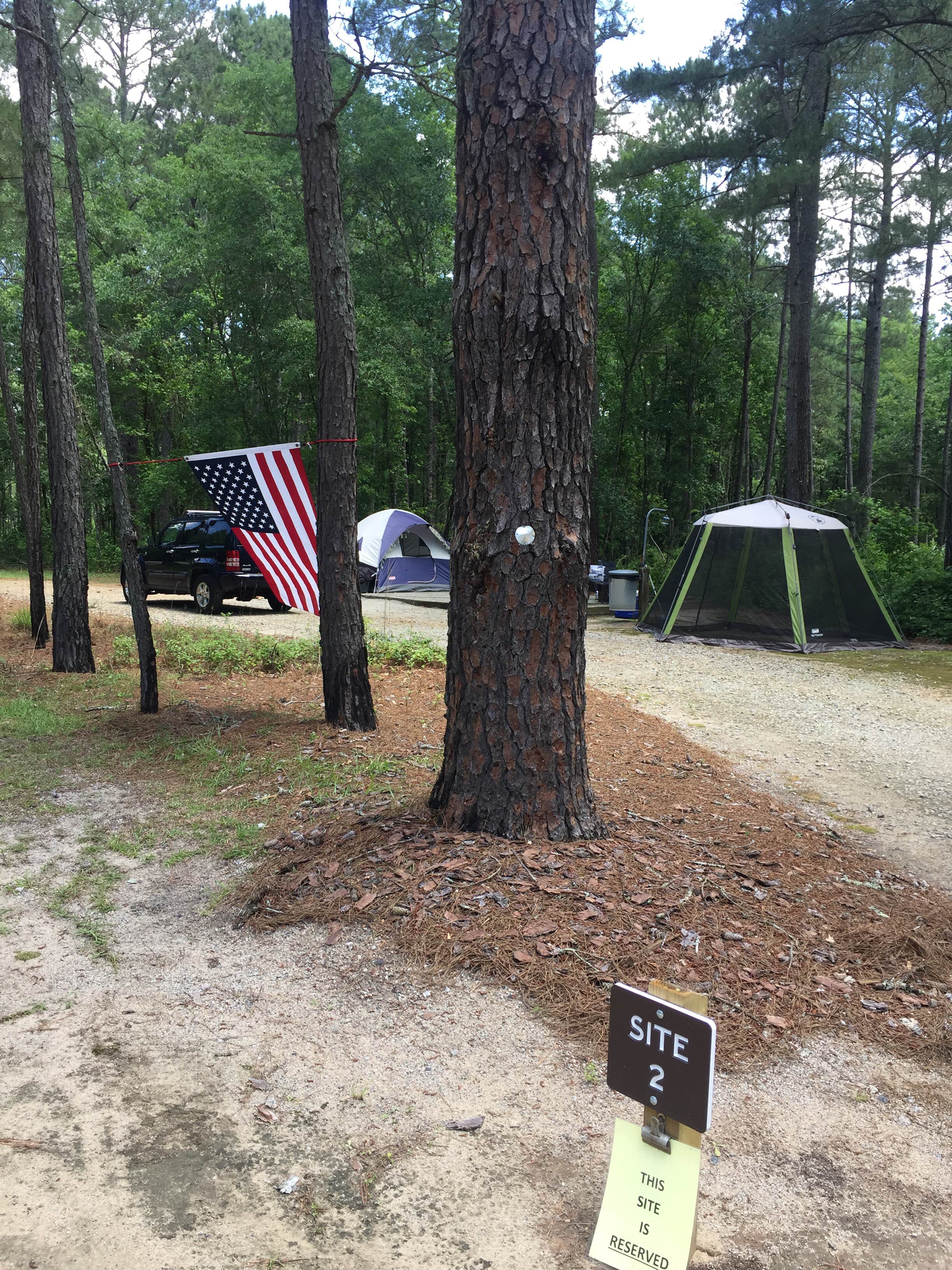 Camper submitted image from Chalk Banks — Lumber River State Park - 2