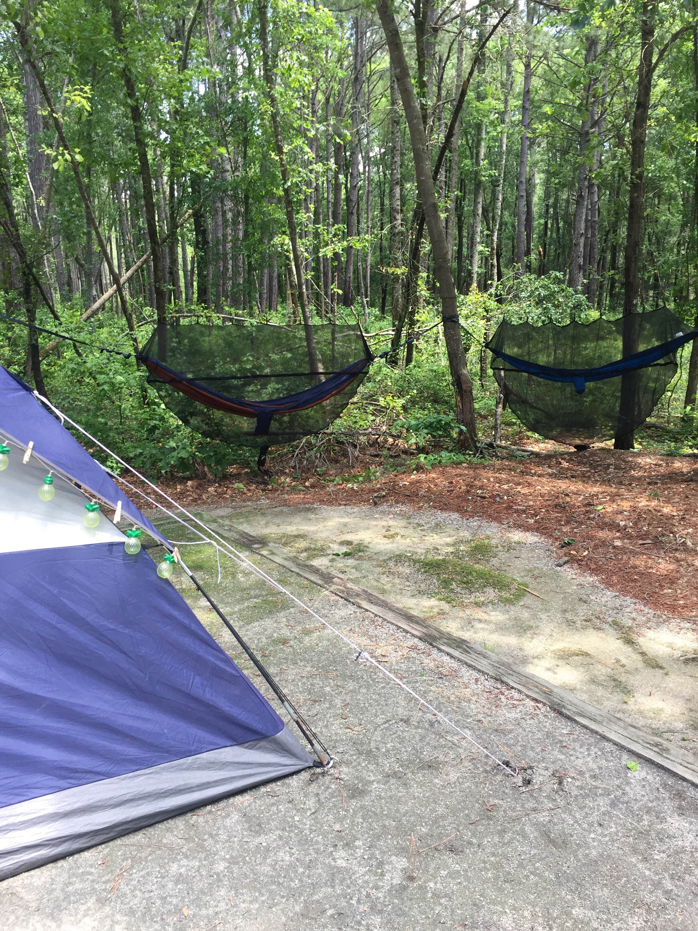 Jay B.'s photo of tent camping at Chalk Banks — Lumber River State Park near Lillington, NC