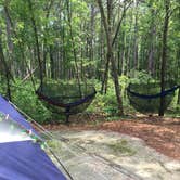 Review photo of Chalk Banks — Lumber River State Park by Jay B., June 18, 2020