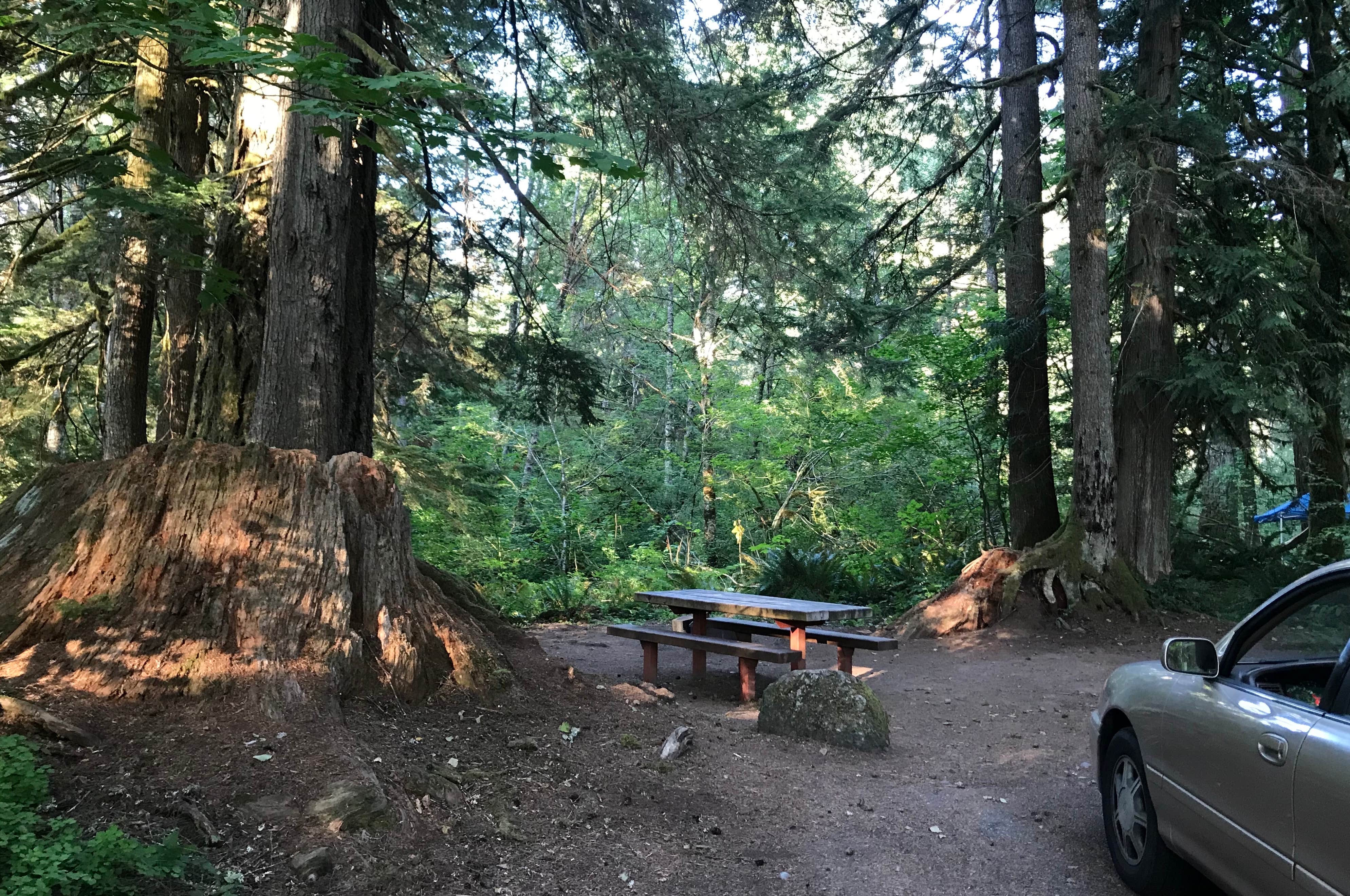 Camper submitted image from Big Creek Campground - 5