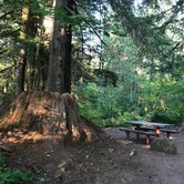 Review photo of Big Creek Campground by Charyl B., June 18, 2020