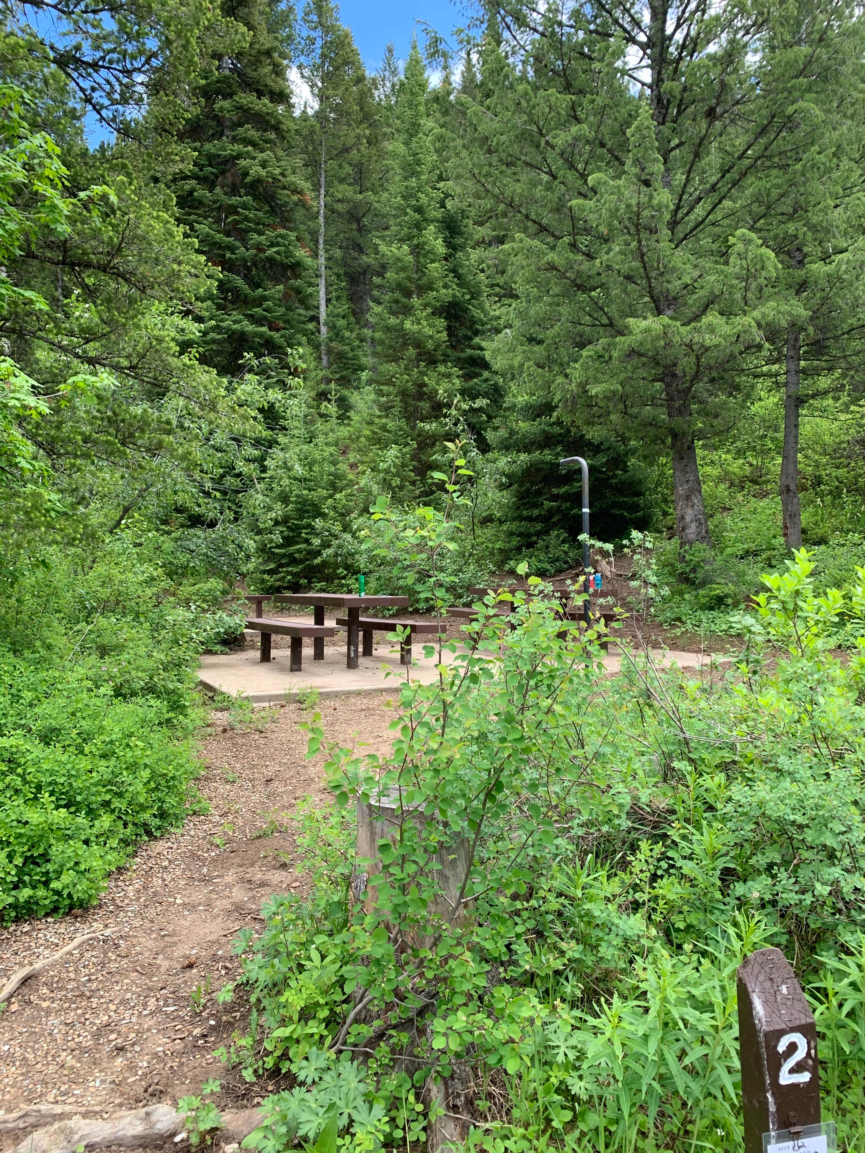 Camper submitted image from Porcupine Campground - 2