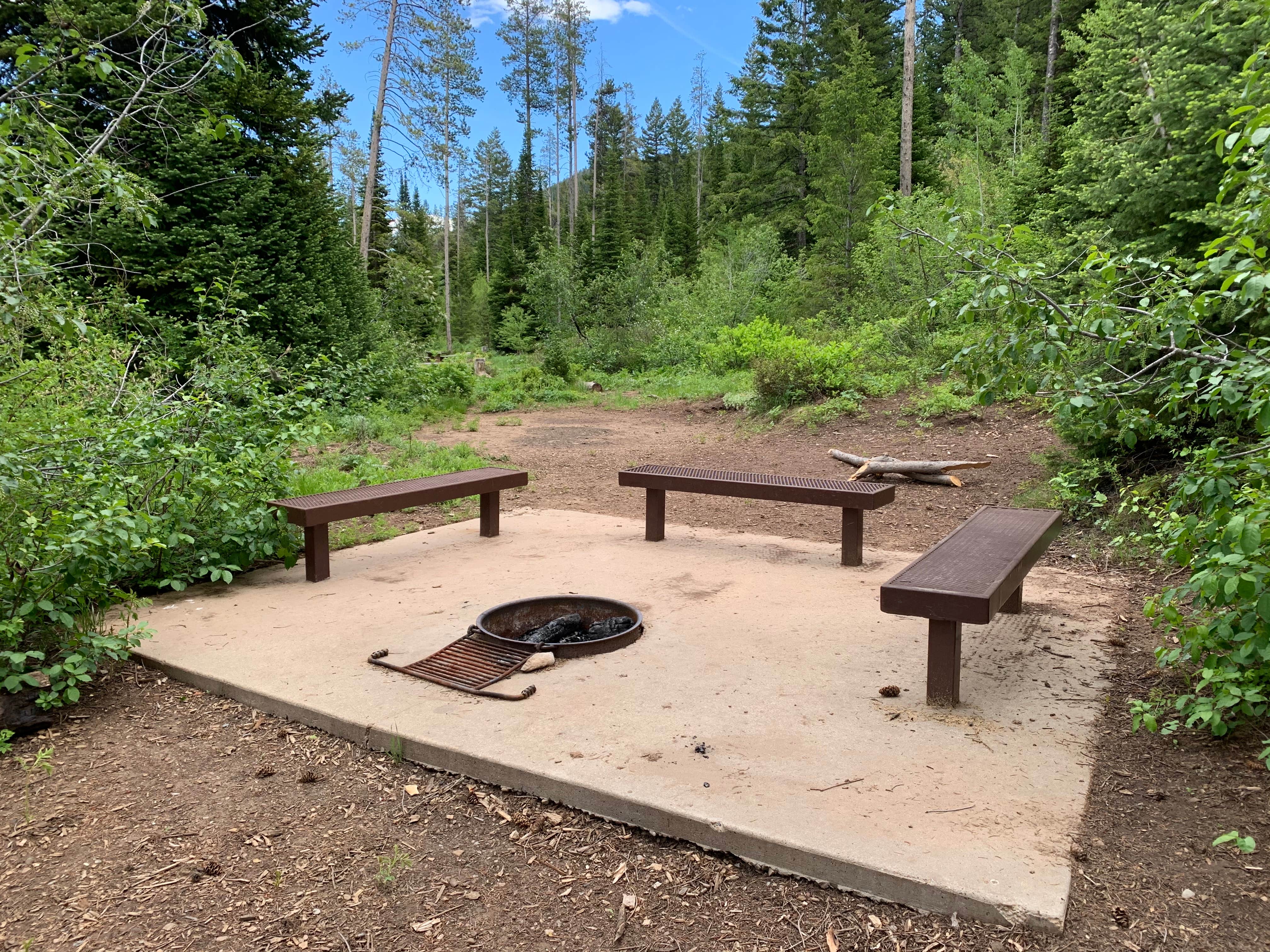 Camper submitted image from Porcupine Campground - 5