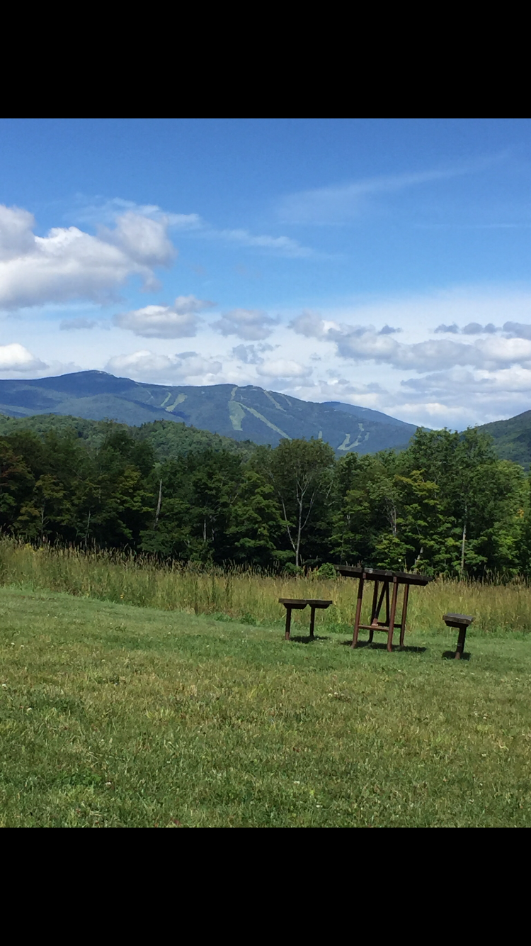 Camper submitted image from Coolidge State Park Campground - 5