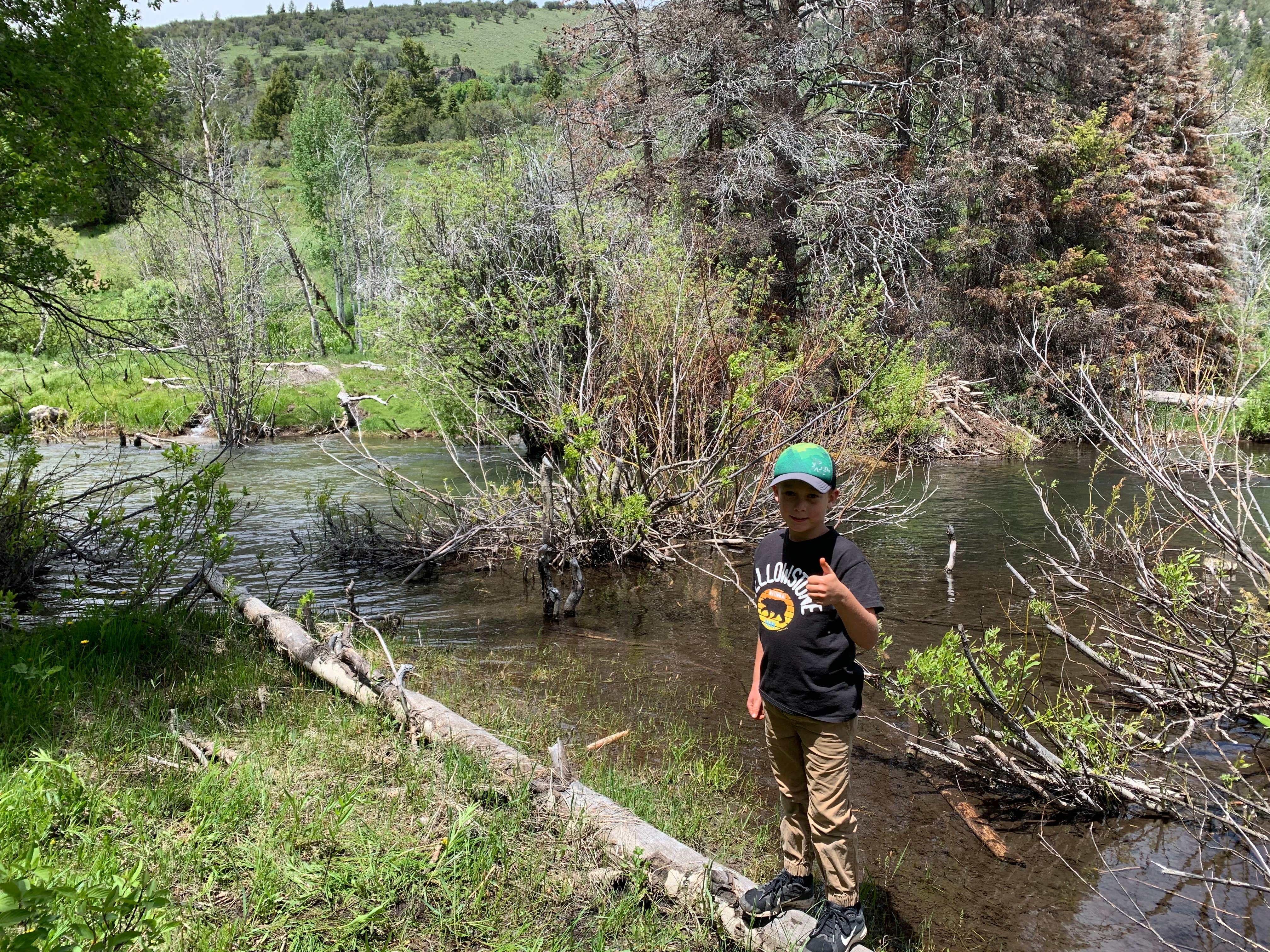 Camper submitted image from Porcupine Campground - 5