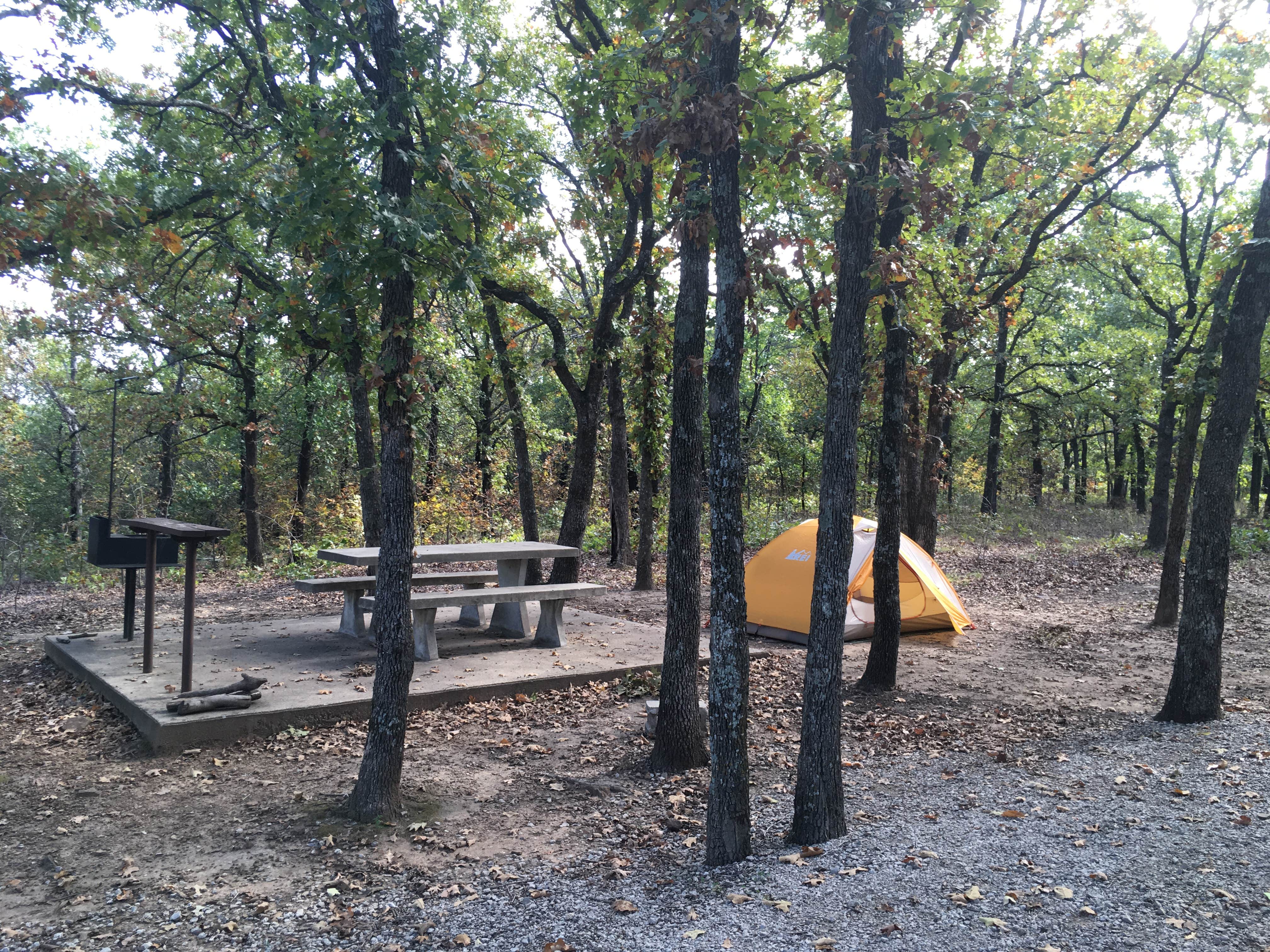 Camper submitted image from Birch Cove - 3