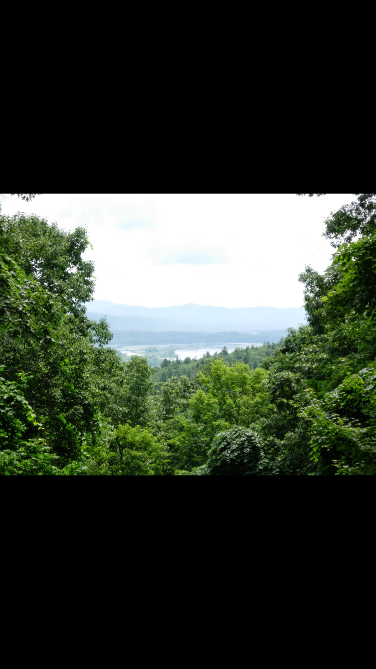 Camper submitted image from Fort Dummer State Park Campground - 2