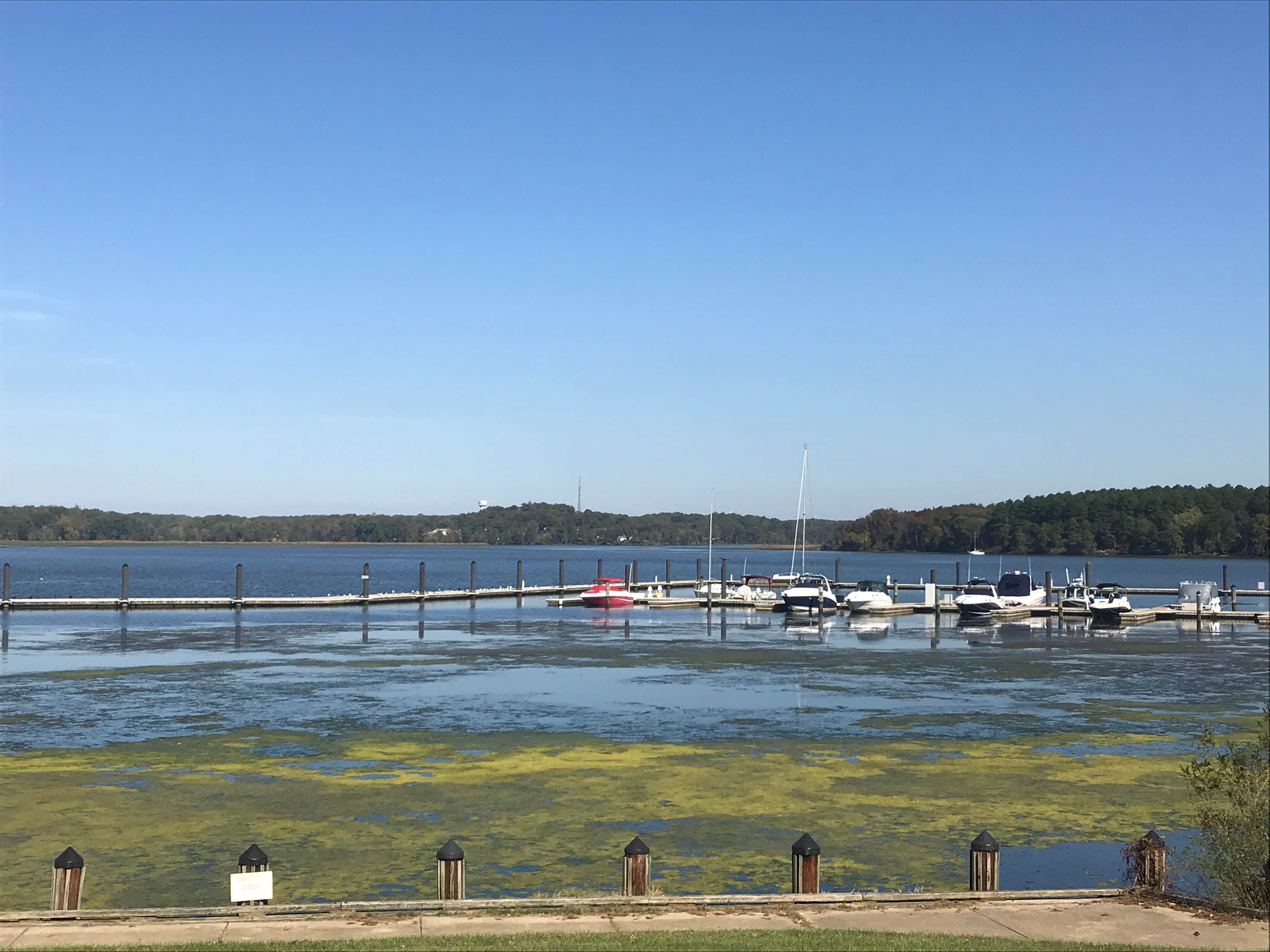 Camper-submitted photo at Smallwood State Park Campground - TEMPORARILY CLOSED THROUGH JULY 2023 near Charlotte Hall, MD