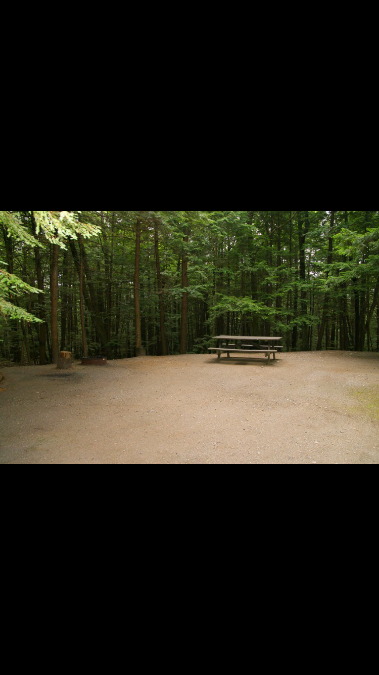 Camper-submitted photo at Fort Dummer State Park Campground near Greenfield, MA