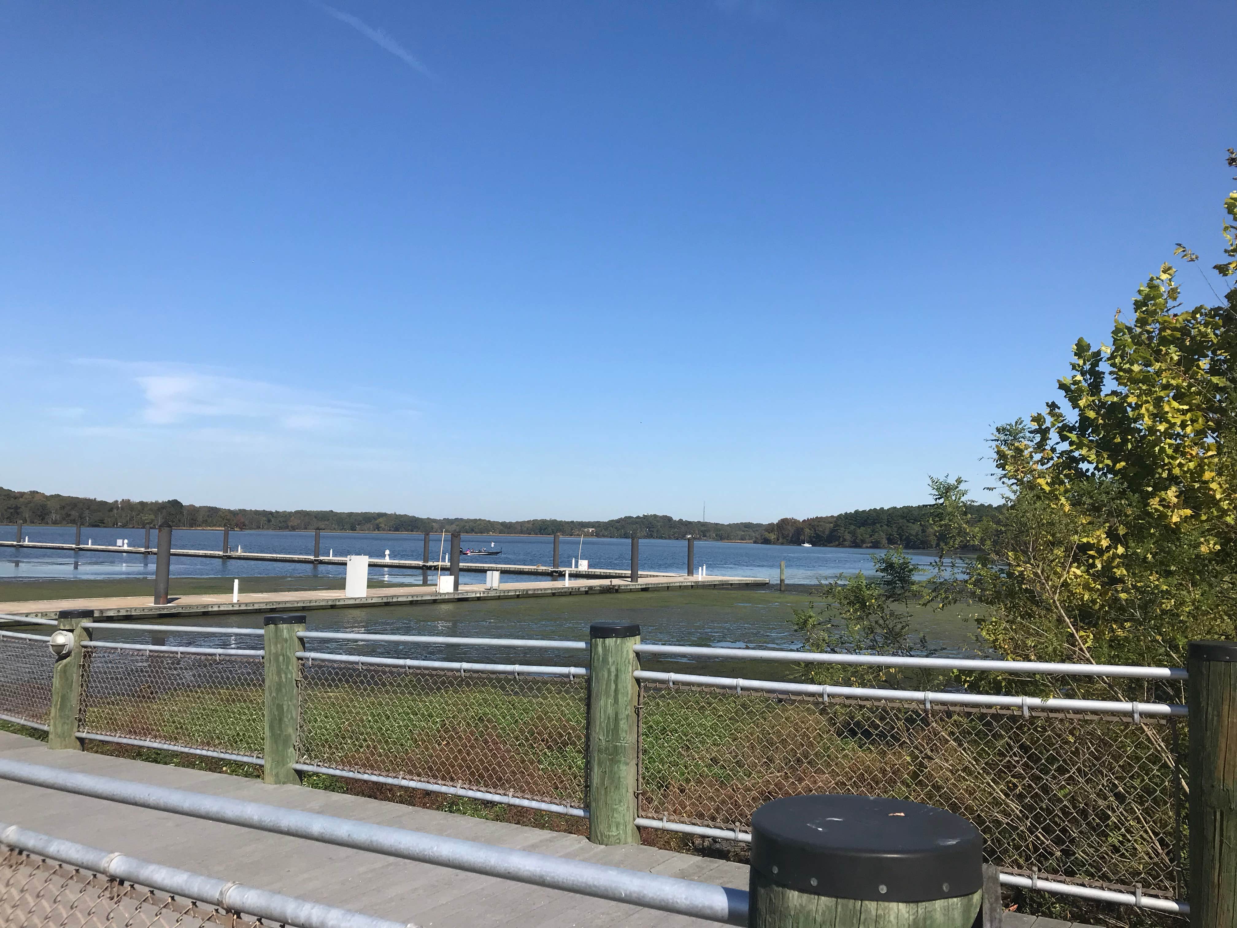 Camper-submitted photo at Smallwood State Park Campground - TEMPORARILY CLOSED THROUGH JULY 2023 near Charlotte Hall, MD