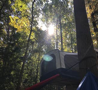 Camper-submitted photo from Burke Lake Park Campground