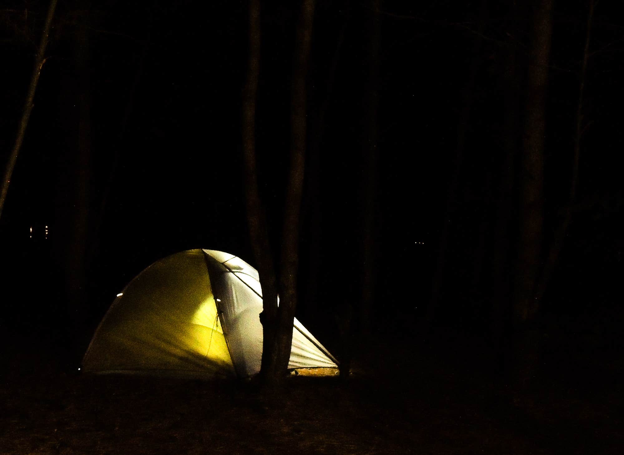 Tara S.'s photo at Little River State Park Campground near Berlin, VT