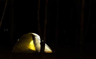 Tara S.'s photo at Little River State Park Campground near Williston, VT