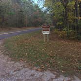 Review photo of Brazil Creek by Shelly S., October 25, 2017