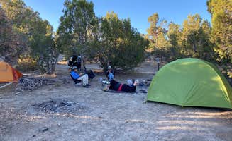 Nick  P.'s photo of a dispersed camping area at BLM across from Mesa Verde near Farmington, NM