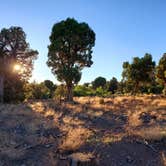 Review photo of BLM across from Mesa Verde by Nick  P., June 18, 2020