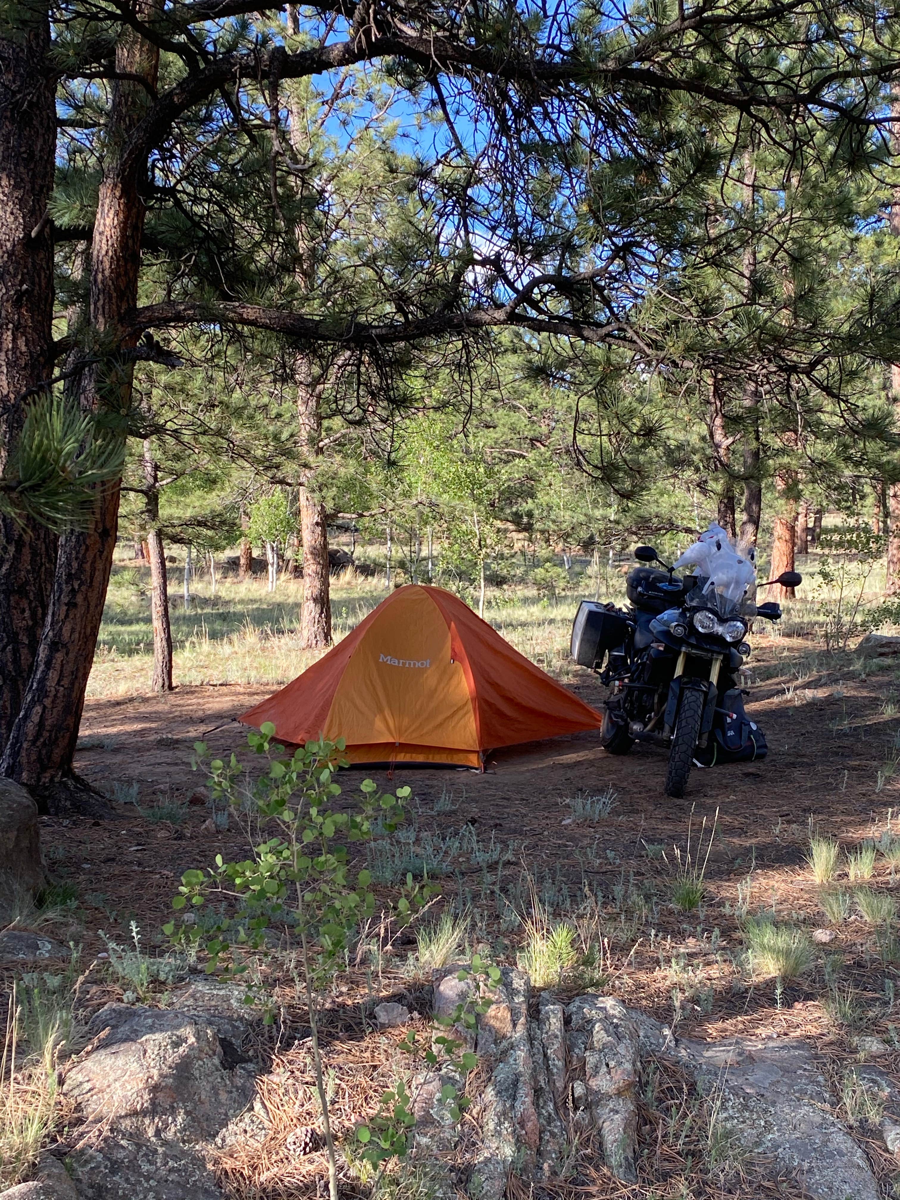 Nick  P.'s photo at Round Mountain near Lake George, CO