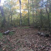 Review photo of Brazil Creek by Shelly S., October 25, 2017