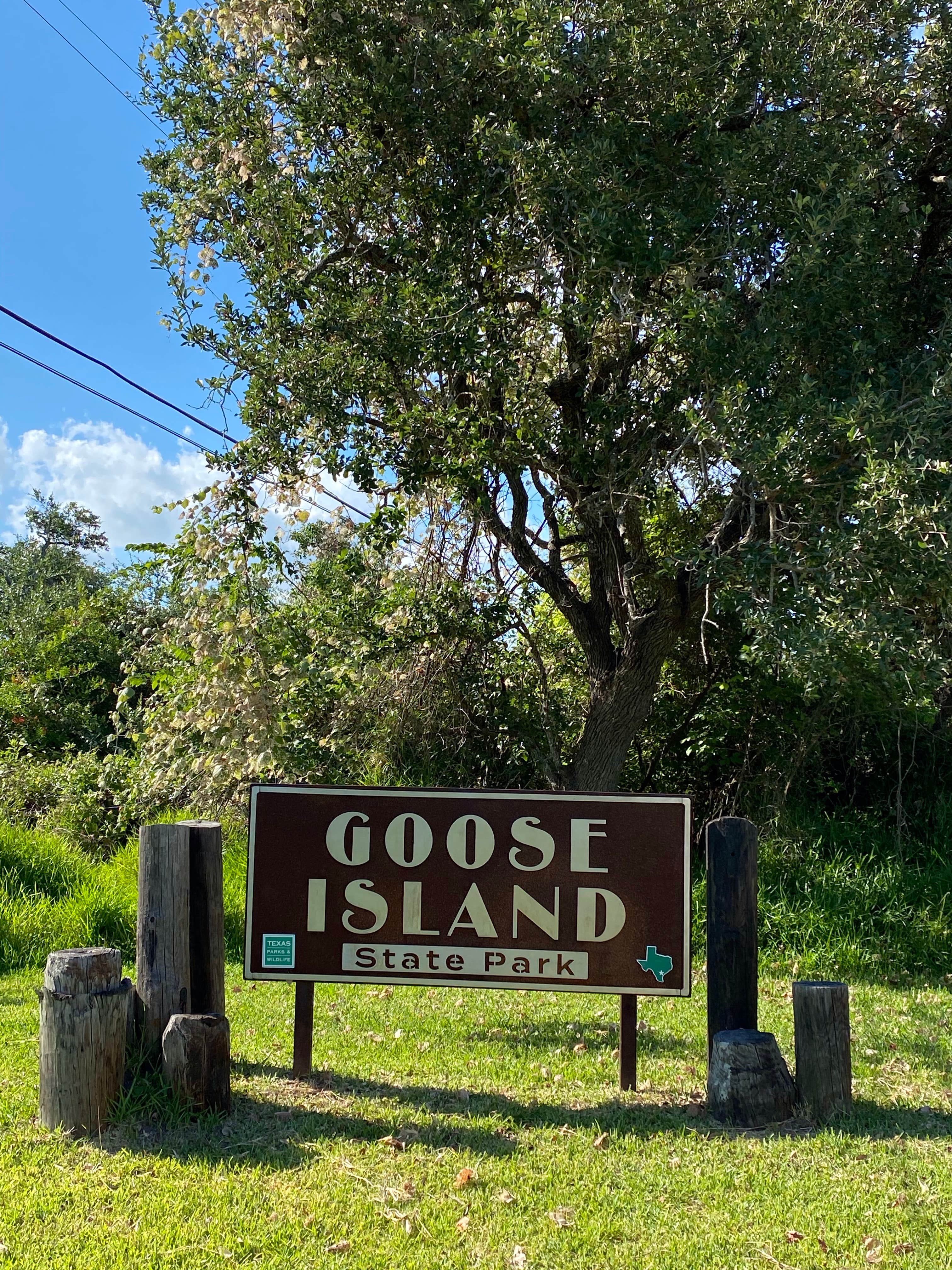 Camper submitted image from Goose Island State Park Campground - 5