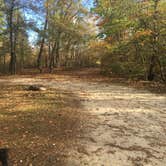 Review photo of Brazil Creek by Shelly S., October 25, 2017