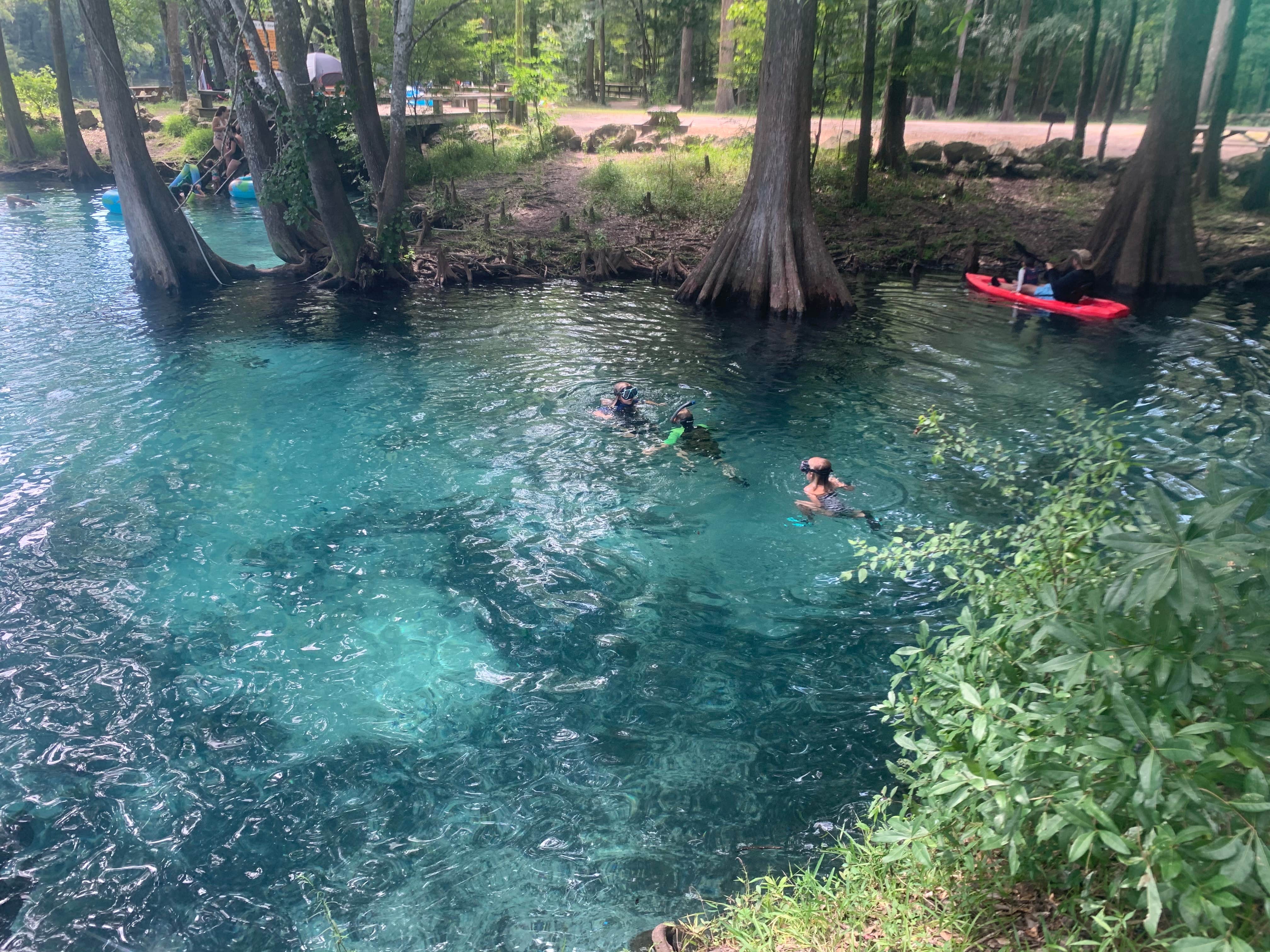 Camper submitted image from Magnolia Campground — O'Leno State Park - 4