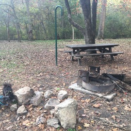 The one and only picnic bench and fire ring
