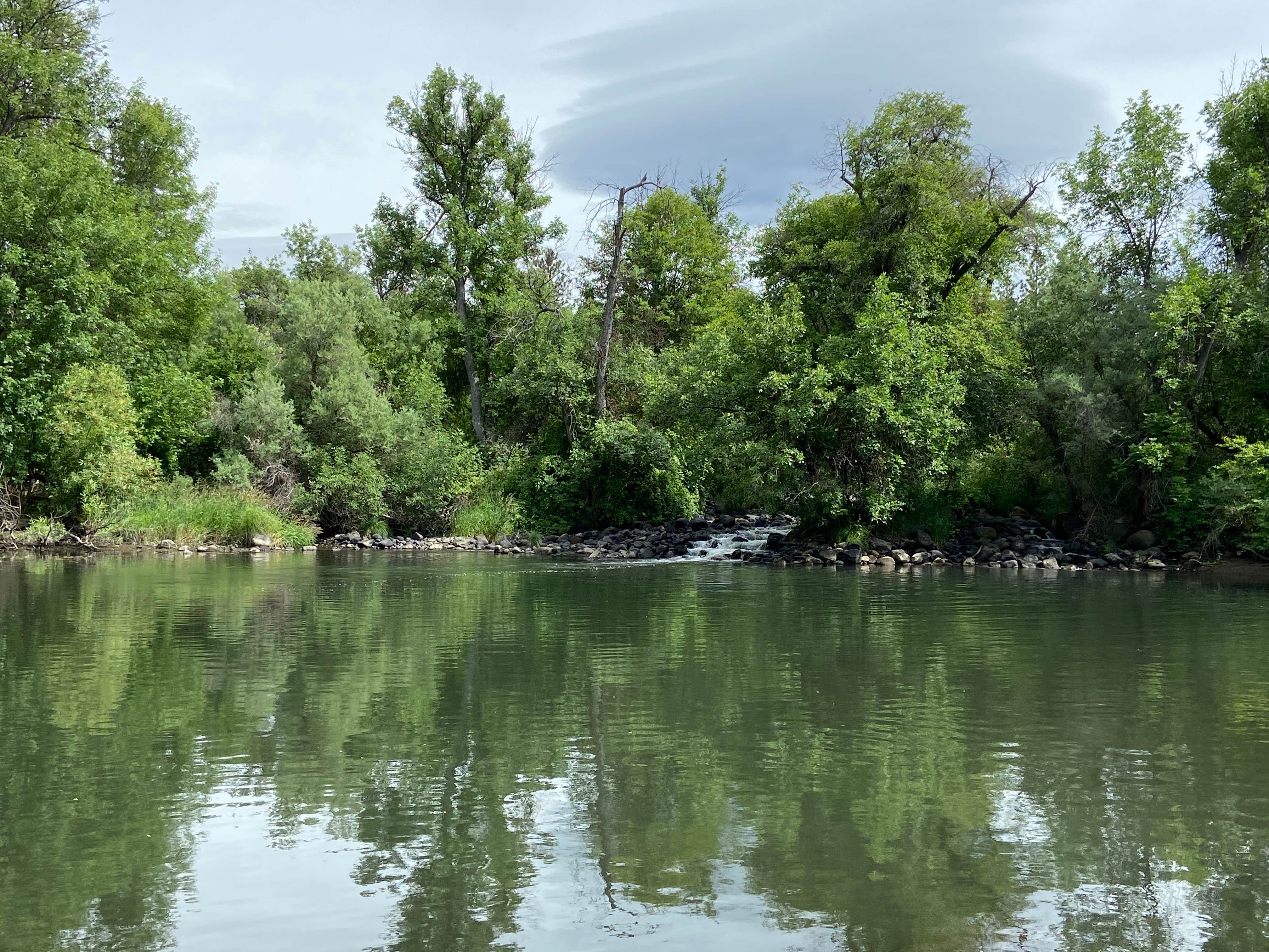 Camper-submitted photo at Pit River Campground near Cassel, CA