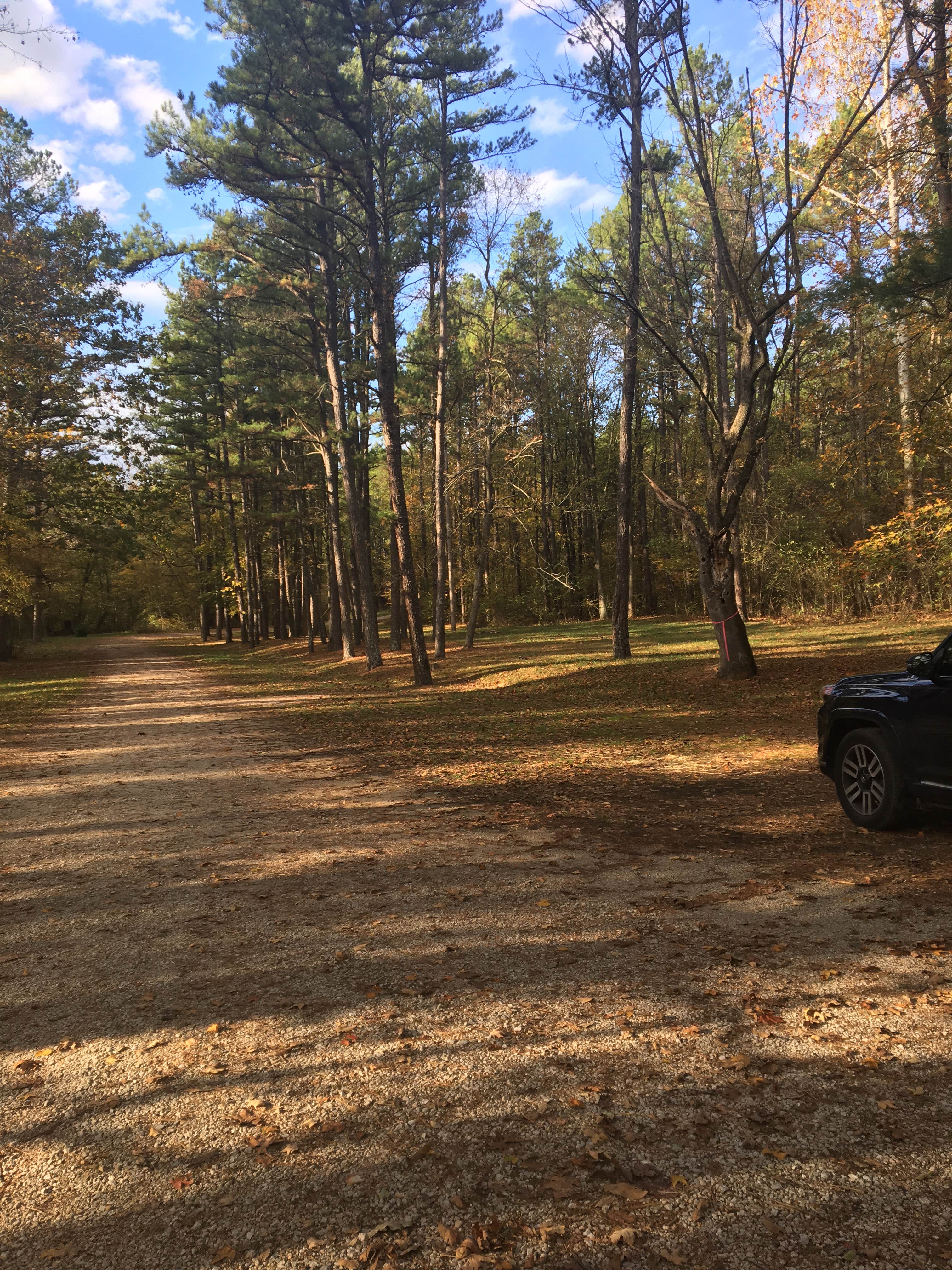 Camper-submitted photo at Brazil Creek near Marthasville, MO