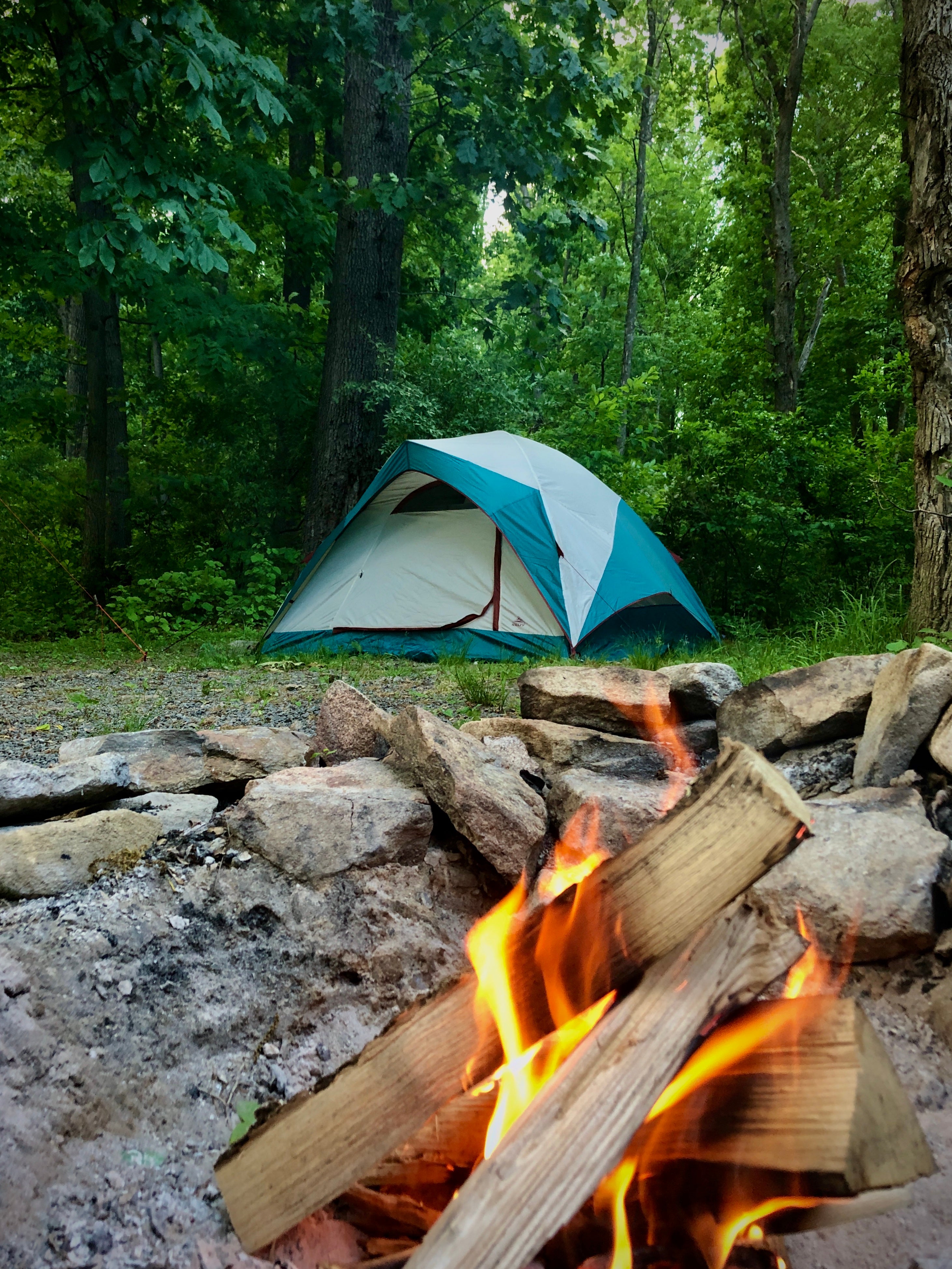 A peaceful evening at the edge of the woods. We stayed at site #97