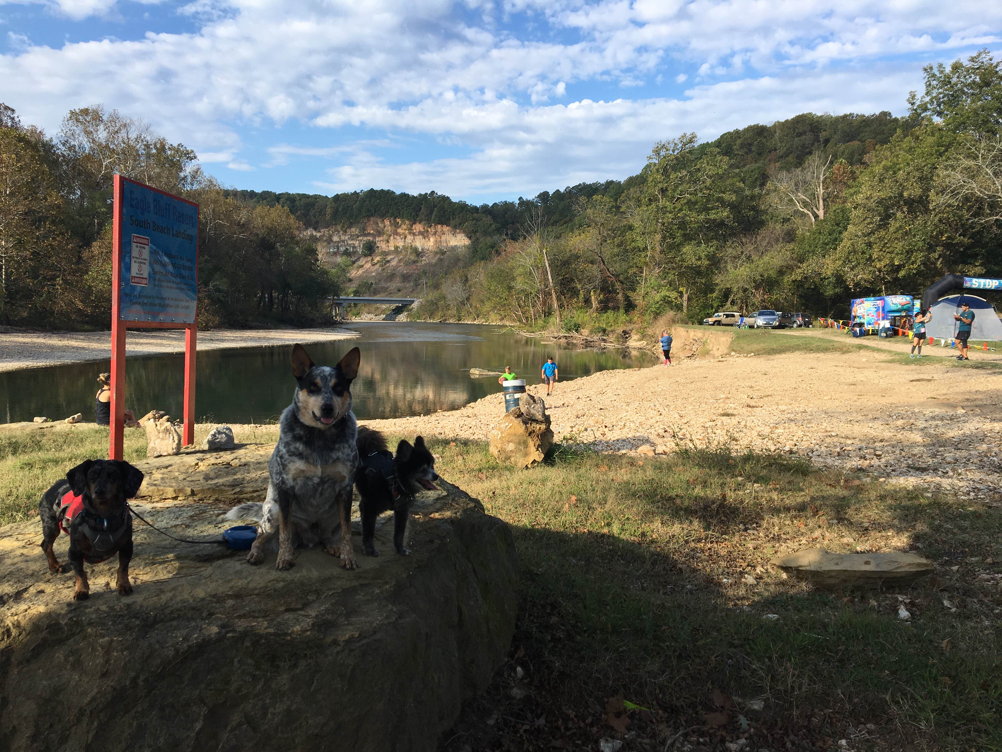 Shelly S.'s photo of camping with pets at Eagle Bluff Resort near Bunch, OK