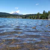 Review photo of Aspen Point (lake of The Woods, Or) by Michelle M., June 18, 2020