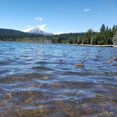 Review photo of Aspen Point (lake of The Woods, Or) by Michelle M., June 18, 2020