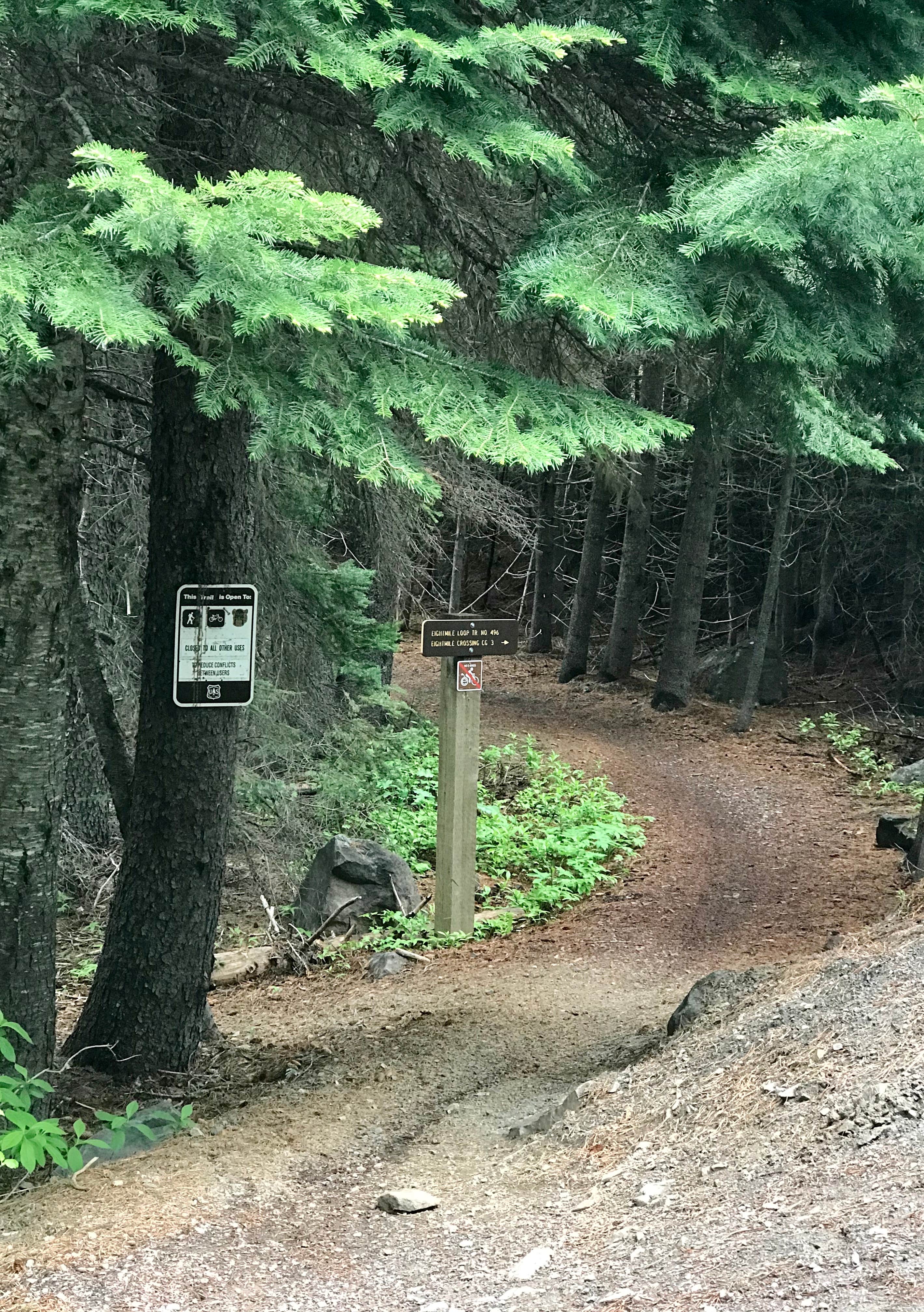 Camper submitted image from Fivemile Butte Lookout - 3