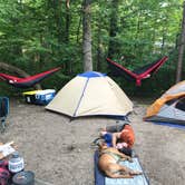 Review photo of Pine Ridge Campground — Itasca State Park by Matt C., June 19, 2020