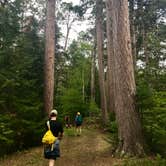 Review photo of Pine Ridge Campground — Itasca State Park by Matt C., June 19, 2020