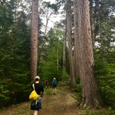 Review photo of Pine Ridge - Itasca State Park by Matt C., June 19, 2020