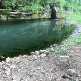 Review photo of Camp Glen Wendel Primitive Backcountry — Yellow River State Forest by Macel C., June 19, 2020