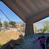 Review photo of Putah Canyon Campground by Renee T., June 19, 2020