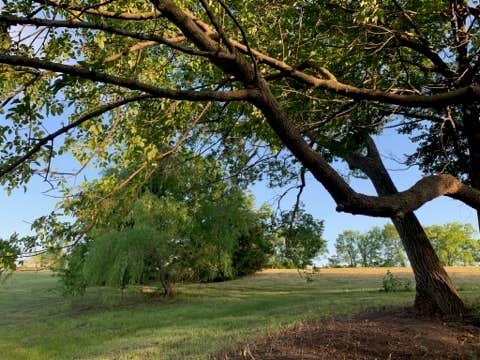 Camper-submitted photo at The Waters near Lavon Lake