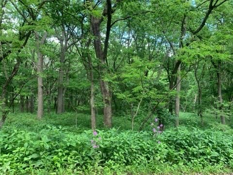 Camper-submitted photo at Village of Diller Park - Diller Campground near Fairbury, NE