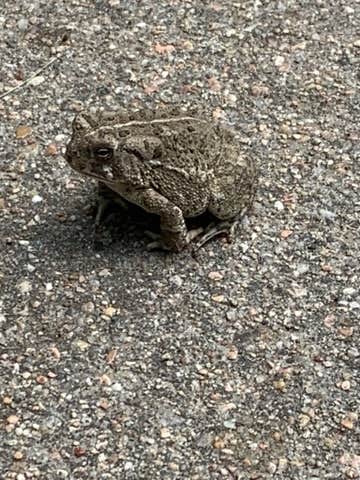 Camper-submitted photo at Village of Diller Park - Diller Campground near Fairbury, NE