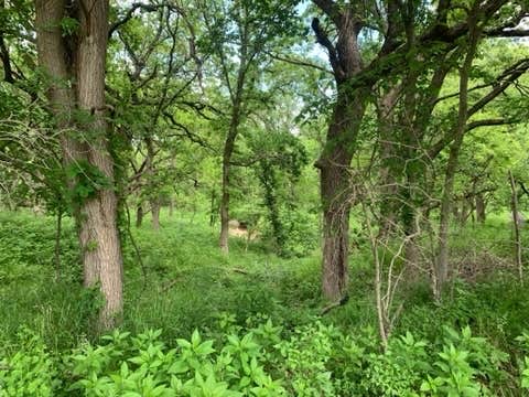 Rockford Lake State Recreation Area Beatrice NE