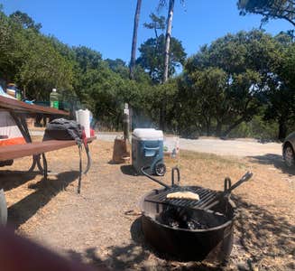 Camper-submitted photo from Julia Pfeiffer Burns Environmental Camping — Julia Pfeiffer Burns State Park