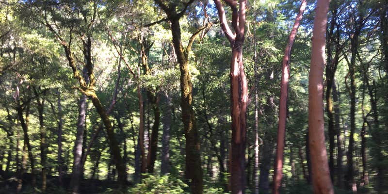 Camper submitted image from Grassy Flat Campground