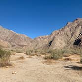 Review photo of Borrego Palm Canyon Campground — Anza-Borrego Desert State Park by Luis N., June 19, 2020