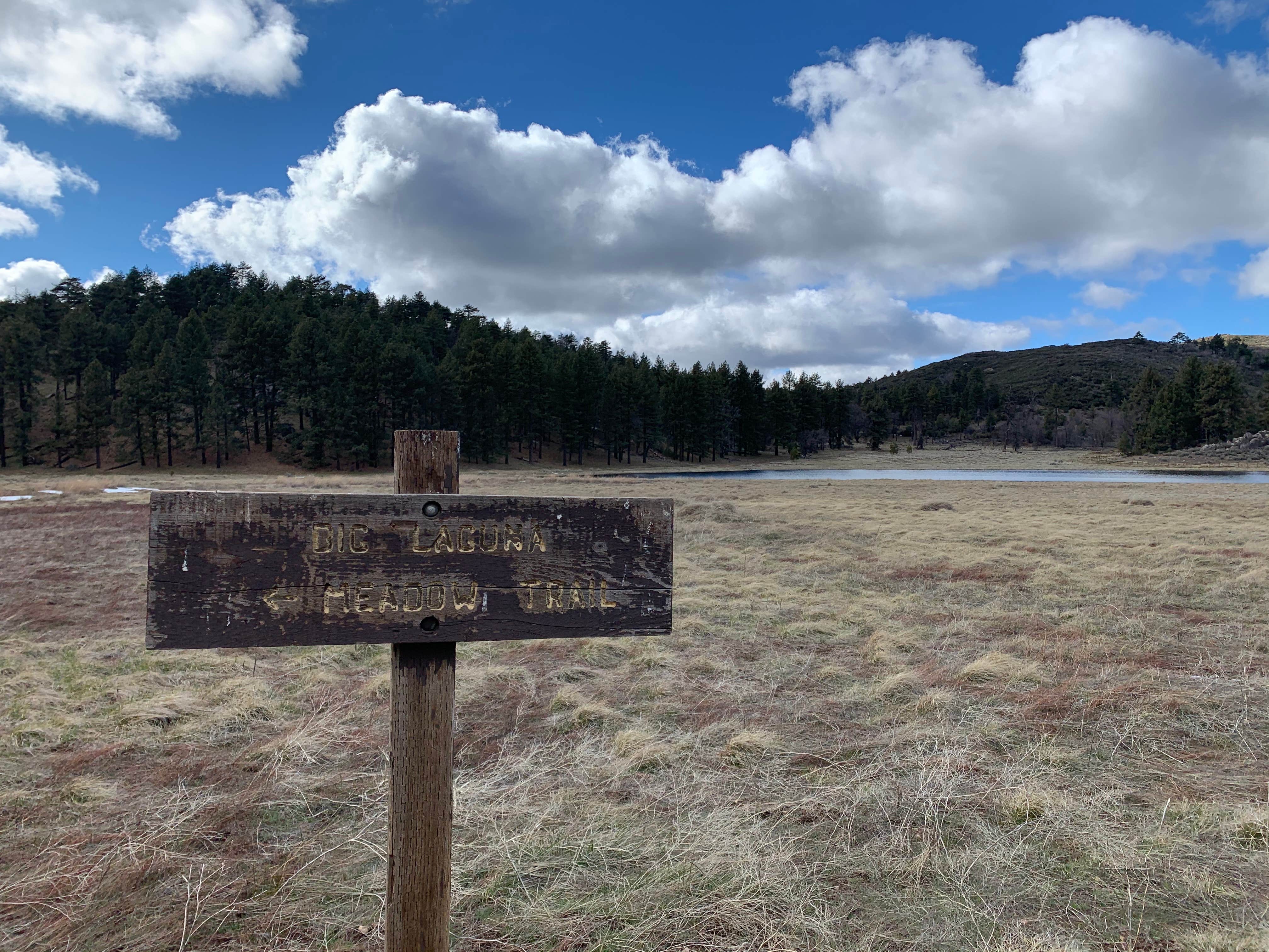 Camper submitted image from El Prado Campground - 5