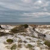 Review photo of T.H. Stone Memorial St. Joseph Peninsula State Park Campground by Angie B., July 1, 2016